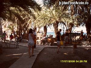 [P07] Plaja din Vai este in capatul de est al insulei, si are singura padure de palmieri salbatici din Europa (daca numaram Creta in Europa si nu in Afrika)  » foto by calatorul
 - 
<span class="allrVoted glyphicon glyphicon-heart hidden" id="av562123"></span>
<a class="m-l-10 hidden" id="sv562123" onclick="voting_Foto_DelVot(,562123,481)" role="button">șterge vot <span class="glyphicon glyphicon-remove"></span></a>
<a id="v9562123" class=" c-red"  onclick="voting_Foto_SetVot(562123)" role="button"><span class="glyphicon glyphicon-heart-empty"></span> <b>LIKE</b> = Votează poza</a> <img class="hidden"  id="f562123W9" src="/imagini/loader.gif" border="0" /><span class="AjErrMes hidden" id="e562123ErM"></span>
