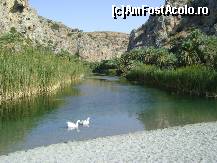 [P32] Preveli Palm Beach » foto by SKC
 - 
<span class="allrVoted glyphicon glyphicon-heart hidden" id="av470259"></span>
<a class="m-l-10 hidden" id="sv470259" onclick="voting_Foto_DelVot(,470259,481)" role="button">șterge vot <span class="glyphicon glyphicon-remove"></span></a>
<a id="v9470259" class=" c-red"  onclick="voting_Foto_SetVot(470259)" role="button"><span class="glyphicon glyphicon-heart-empty"></span> <b>LIKE</b> = Votează poza</a> <img class="hidden"  id="f470259W9" src="/imagini/loader.gif" border="0" /><span class="AjErrMes hidden" id="e470259ErM"></span>