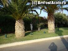 [P02] un parculet langa hotel » foto by dana3262*
 - 
<span class="allrVoted glyphicon glyphicon-heart hidden" id="av4470"></span>
<a class="m-l-10 hidden" id="sv4470" onclick="voting_Foto_DelVot(,4470,481)" role="button">șterge vot <span class="glyphicon glyphicon-remove"></span></a>
<a id="v94470" class=" c-red"  onclick="voting_Foto_SetVot(4470)" role="button"><span class="glyphicon glyphicon-heart-empty"></span> <b>LIKE</b> = Votează poza</a> <img class="hidden"  id="f4470W9" src="/imagini/loader.gif" border="0" /><span class="AjErrMes hidden" id="e4470ErM"></span>