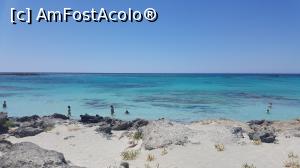 [P26] Elafonissi » foto by rudy
 - 
<span class="allrVoted glyphicon glyphicon-heart hidden" id="av819395"></span>
<a class="m-l-10 hidden" id="sv819395" onclick="voting_Foto_DelVot(,819395,481)" role="button">șterge vot <span class="glyphicon glyphicon-remove"></span></a>
<a id="v9819395" class=" c-red"  onclick="voting_Foto_SetVot(819395)" role="button"><span class="glyphicon glyphicon-heart-empty"></span> <b>LIKE</b> = Votează poza</a> <img class="hidden"  id="f819395W9" src="/imagini/loader.gif" border="0" /><span class="AjErrMes hidden" id="e819395ErM"></span>