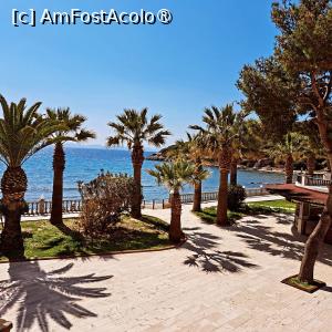 [P02] Gradina cu palmieri » foto by Mirinda
 - 
<span class="allrVoted glyphicon glyphicon-heart hidden" id="av1422053"></span>
<a class="m-l-10 hidden" id="sv1422053" onclick="voting_Foto_DelVot(,1422053,494)" role="button">șterge vot <span class="glyphicon glyphicon-remove"></span></a>
<a id="v91422053" class=" c-red"  onclick="voting_Foto_SetVot(1422053)" role="button"><span class="glyphicon glyphicon-heart-empty"></span> <b>LIKE</b> = Votează poza</a> <img class="hidden"  id="f1422053W9" src="/imagini/loader.gif" border="0" /><span class="AjErrMes hidden" id="e1422053ErM"></span>