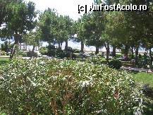 [P28] gradina,cel mai lejer si linistit loc. » foto by alipiticot
 - 
<span class="allrVoted glyphicon glyphicon-heart hidden" id="av297776"></span>
<a class="m-l-10 hidden" id="sv297776" onclick="voting_Foto_DelVot(,297776,494)" role="button">șterge vot <span class="glyphicon glyphicon-remove"></span></a>
<a id="v9297776" class=" c-red"  onclick="voting_Foto_SetVot(297776)" role="button"><span class="glyphicon glyphicon-heart-empty"></span> <b>LIKE</b> = Votează poza</a> <img class="hidden"  id="f297776W9" src="/imagini/loader.gif" border="0" /><span class="AjErrMes hidden" id="e297776ErM"></span>