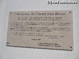 [P03] Placa Sri Chinmoy Peace Blossom » foto by Marian Preda
 - 
<span class="allrVoted glyphicon glyphicon-heart hidden" id="av657806"></span>
<a class="m-l-10 hidden" id="sv657806" onclick="voting_Foto_DelVot(,657806,516)" role="button">șterge vot <span class="glyphicon glyphicon-remove"></span></a>
<a id="v9657806" class=" c-red"  onclick="voting_Foto_SetVot(657806)" role="button"><span class="glyphicon glyphicon-heart-empty"></span> <b>LIKE</b> = Votează poza</a> <img class="hidden"  id="f657806W9" src="/imagini/loader.gif" border="0" /><span class="AjErrMes hidden" id="e657806ErM"></span>