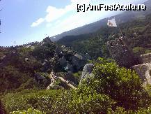 [P14] Sintra-castelul maur » foto by danutza
 - 
<span class="allrVoted glyphicon glyphicon-heart hidden" id="av68563"></span>
<a class="m-l-10 hidden" id="sv68563" onclick="voting_Foto_DelVot(,68563,516)" role="button">șterge vot <span class="glyphicon glyphicon-remove"></span></a>
<a id="v968563" class=" c-red"  onclick="voting_Foto_SetVot(68563)" role="button"><span class="glyphicon glyphicon-heart-empty"></span> <b>LIKE</b> = Votează poza</a> <img class="hidden"  id="f68563W9" src="/imagini/loader.gif" border="0" /><span class="AjErrMes hidden" id="e68563ErM"></span>