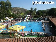 [P07] piscina » foto by mbrandusa
 - 
<span class="allrVoted glyphicon glyphicon-heart hidden" id="av234432"></span>
<a class="m-l-10 hidden" id="sv234432" onclick="voting_Foto_DelVot(,234432,537)" role="button">șterge vot <span class="glyphicon glyphicon-remove"></span></a>
<a id="v9234432" class=" c-red"  onclick="voting_Foto_SetVot(234432)" role="button"><span class="glyphicon glyphicon-heart-empty"></span> <b>LIKE</b> = Votează poza</a> <img class="hidden"  id="f234432W9" src="/imagini/loader.gif" border="0" /><span class="AjErrMes hidden" id="e234432ErM"></span>