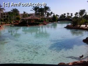 [P07] lacurile artificiale din resort » foto by elenaadina
 - 
<span class="allrVoted glyphicon glyphicon-heart hidden" id="av837799"></span>
<a class="m-l-10 hidden" id="sv837799" onclick="voting_Foto_DelVot(,837799,545)" role="button">șterge vot <span class="glyphicon glyphicon-remove"></span></a>
<a id="v9837799" class=" c-red"  onclick="voting_Foto_SetVot(837799)" role="button"><span class="glyphicon glyphicon-heart-empty"></span> <b>LIKE</b> = Votează poza</a> <img class="hidden"  id="f837799W9" src="/imagini/loader.gif" border="0" /><span class="AjErrMes hidden" id="e837799ErM"></span>