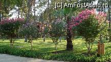 [P02]  -- <small>// FĂRĂ DESCRIERE</small> » foto by soleillevant32
 - 
<span class="allrVoted glyphicon glyphicon-heart hidden" id="av105826"></span>
<a class="m-l-10 hidden" id="sv105826" onclick="voting_Foto_DelVot(,105826,55)" role="button">șterge vot <span class="glyphicon glyphicon-remove"></span></a>
<a id="v9105826" class=" c-red"  onclick="voting_Foto_SetVot(105826)" role="button"><span class="glyphicon glyphicon-heart-empty"></span> <b>LIKE</b> = Votează poza</a> <img class="hidden"  id="f105826W9" src="/imagini/loader.gif" border="0" /><span class="AjErrMes hidden" id="e105826ErM"></span>