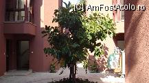 [P09]  -- <small>// FĂRĂ DESCRIERE</small> » foto by soleillevant32
 - 
<span class="allrVoted glyphicon glyphicon-heart hidden" id="av105833"></span>
<a class="m-l-10 hidden" id="sv105833" onclick="voting_Foto_DelVot(,105833,55)" role="button">șterge vot <span class="glyphicon glyphicon-remove"></span></a>
<a id="v9105833" class=" c-red"  onclick="voting_Foto_SetVot(105833)" role="button"><span class="glyphicon glyphicon-heart-empty"></span> <b>LIKE</b> = Votează poza</a> <img class="hidden"  id="f105833W9" src="/imagini/loader.gif" border="0" /><span class="AjErrMes hidden" id="e105833ErM"></span>