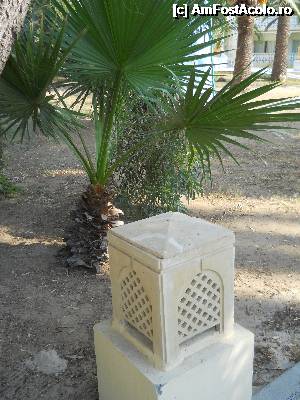 [P08] felinar de piatra » foto by DaniX
 - 
<span class="allrVoted glyphicon glyphicon-heart hidden" id="av357521"></span>
<a class="m-l-10 hidden" id="sv357521" onclick="voting_Foto_DelVot(,357521,555)" role="button">șterge vot <span class="glyphicon glyphicon-remove"></span></a>
<a id="v9357521" class=" c-red"  onclick="voting_Foto_SetVot(357521)" role="button"><span class="glyphicon glyphicon-heart-empty"></span> <b>LIKE</b> = Votează poza</a> <img class="hidden"  id="f357521W9" src="/imagini/loader.gif" border="0" /><span class="AjErrMes hidden" id="e357521ErM"></span>
