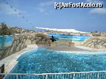 [P11] Bine ati venit la spectacolul cu leii de mare. » foto by Utube
 - 
<span class="allrVoted glyphicon glyphicon-heart hidden" id="av155218"></span>
<a class="m-l-10 hidden" id="sv155218" onclick="voting_Foto_DelVot(,155218,557)" role="button">șterge vot <span class="glyphicon glyphicon-remove"></span></a>
<a id="v9155218" class=" c-red"  onclick="voting_Foto_SetVot(155218)" role="button"><span class="glyphicon glyphicon-heart-empty"></span> <b>LIKE</b> = Votează poza</a> <img class="hidden"  id="f155218W9" src="/imagini/loader.gif" border="0" /><span class="AjErrMes hidden" id="e155218ErM"></span>