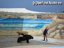 [P14] Of! Gimnastica asta ma omoara? Dar pentru voi hai ca o fac si p-asta! » foto by Utube
 - 
<span class="allrVoted glyphicon glyphicon-heart hidden" id="av155221"></span>
<a class="m-l-10 hidden" id="sv155221" onclick="voting_Foto_DelVot(,155221,557)" role="button">șterge vot <span class="glyphicon glyphicon-remove"></span></a>
<a id="v9155221" class=" c-red"  onclick="voting_Foto_SetVot(155221)" role="button"><span class="glyphicon glyphicon-heart-empty"></span> <b>LIKE</b> = Votează poza</a> <img class="hidden"  id="f155221W9" src="/imagini/loader.gif" border="0" /><span class="AjErrMes hidden" id="e155221ErM"></span>