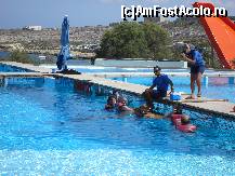 [P32] La foto cu delfinul! » foto by Utube
 - 
<span class="allrVoted glyphicon glyphicon-heart hidden" id="av155290"></span>
<a class="m-l-10 hidden" id="sv155290" onclick="voting_Foto_DelVot(,155290,557)" role="button">șterge vot <span class="glyphicon glyphicon-remove"></span></a>
<a id="v9155290" class=" c-red"  onclick="voting_Foto_SetVot(155290)" role="button"><span class="glyphicon glyphicon-heart-empty"></span> <b>LIKE</b> = Votează poza</a> <img class="hidden"  id="f155290W9" src="/imagini/loader.gif" border="0" /><span class="AjErrMes hidden" id="e155290ErM"></span>