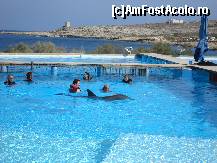 [P33] Delfinul înoată printre oameni. » foto by Utube
 - 
<span class="allrVoted glyphicon glyphicon-heart hidden" id="av155291"></span>
<a class="m-l-10 hidden" id="sv155291" onclick="voting_Foto_DelVot(,155291,557)" role="button">șterge vot <span class="glyphicon glyphicon-remove"></span></a>
<a id="v9155291" class=" c-red"  onclick="voting_Foto_SetVot(155291)" role="button"><span class="glyphicon glyphicon-heart-empty"></span> <b>LIKE</b> = Votează poza</a> <img class="hidden"  id="f155291W9" src="/imagini/loader.gif" border="0" /><span class="AjErrMes hidden" id="e155291ErM"></span>