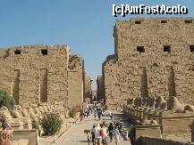 [P11] Intram in templul Karnak » foto by rsimona
 - 
<span class="allrVoted glyphicon glyphicon-heart hidden" id="av212072"></span>
<a class="m-l-10 hidden" id="sv212072" onclick="voting_Foto_DelVot(,212072,566)" role="button">șterge vot <span class="glyphicon glyphicon-remove"></span></a>
<a id="v9212072" class=" c-red"  onclick="voting_Foto_SetVot(212072)" role="button"><span class="glyphicon glyphicon-heart-empty"></span> <b>LIKE</b> = Votează poza</a> <img class="hidden"  id="f212072W9" src="/imagini/loader.gif" border="0" /><span class="AjErrMes hidden" id="e212072ErM"></span>