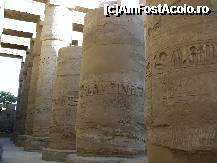 [P32] Templul din Karnak - Impresionantele coloane din Sala Hipostila. » foto by iulianic
 - 
<span class="allrVoted glyphicon glyphicon-heart hidden" id="av298430"></span>
<a class="m-l-10 hidden" id="sv298430" onclick="voting_Foto_DelVot(,298430,566)" role="button">șterge vot <span class="glyphicon glyphicon-remove"></span></a>
<a id="v9298430" class=" c-red"  onclick="voting_Foto_SetVot(298430)" role="button"><span class="glyphicon glyphicon-heart-empty"></span> <b>LIKE</b> = Votează poza</a> <img class="hidden"  id="f298430W9" src="/imagini/loader.gif" border="0" /><span class="AjErrMes hidden" id="e298430ErM"></span>