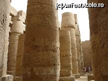 [P12] Coloanele templului de la Karnak » foto by zpedro*
 - 
<span class="allrVoted glyphicon glyphicon-heart hidden" id="av79517"></span>
<a class="m-l-10 hidden" id="sv79517" onclick="voting_Foto_DelVot(,79517,566)" role="button">șterge vot <span class="glyphicon glyphicon-remove"></span></a>
<a id="v979517" class=" c-red"  onclick="voting_Foto_SetVot(79517)" role="button"><span class="glyphicon glyphicon-heart-empty"></span> <b>LIKE</b> = Votează poza</a> <img class="hidden"  id="f79517W9" src="/imagini/loader.gif" border="0" /><span class="AjErrMes hidden" id="e79517ErM"></span>