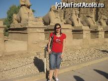 [P13] intrarea la templul din karnak » foto by ghecamelia
 - 
<span class="allrVoted glyphicon glyphicon-heart hidden" id="av46896"></span>
<a class="m-l-10 hidden" id="sv46896" onclick="voting_Foto_DelVot(,46896,566)" role="button">șterge vot <span class="glyphicon glyphicon-remove"></span></a>
<a id="v946896" class=" c-red"  onclick="voting_Foto_SetVot(46896)" role="button"><span class="glyphicon glyphicon-heart-empty"></span> <b>LIKE</b> = Votează poza</a> <img class="hidden"  id="f46896W9" src="/imagini/loader.gif" border="0" /><span class="AjErrMes hidden" id="e46896ErM"></span>