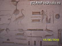[P05] templu Karnak scriere pe pereti - capul pasarii indica directie de citire » foto by delia58
 - 
<span class="allrVoted glyphicon glyphicon-heart hidden" id="av89607"></span>
<a class="m-l-10 hidden" id="sv89607" onclick="voting_Foto_DelVot(,89607,566)" role="button">șterge vot <span class="glyphicon glyphicon-remove"></span></a>
<a id="v989607" class=" c-red"  onclick="voting_Foto_SetVot(89607)" role="button"><span class="glyphicon glyphicon-heart-empty"></span> <b>LIKE</b> = Votează poza</a> <img class="hidden"  id="f89607W9" src="/imagini/loader.gif" border="0" /><span class="AjErrMes hidden" id="e89607ErM"></span>