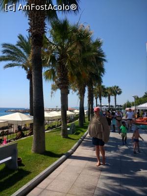 [P11]  -- <small>// FĂRĂ DESCRIERE</small> » foto by calincheita
 - 
<span class="allrVoted glyphicon glyphicon-heart hidden" id="av1016399"></span>
<a class="m-l-10 hidden" id="sv1016399" onclick="voting_Foto_DelVot(,1016399,58)" role="button">șterge vot <span class="glyphicon glyphicon-remove"></span></a>
<a id="v91016399" class=" c-red"  onclick="voting_Foto_SetVot(1016399)" role="button"><span class="glyphicon glyphicon-heart-empty"></span> <b>LIKE</b> = Votează poza</a> <img class="hidden"  id="f1016399W9" src="/imagini/loader.gif" border="0" /><span class="AjErrMes hidden" id="e1016399ErM"></span>