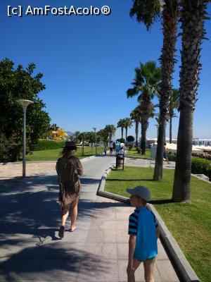 [P14]  -- <small>// FĂRĂ DESCRIERE</small> » foto by calincheita
 - 
<span class="allrVoted glyphicon glyphicon-heart hidden" id="av1016403"></span>
<a class="m-l-10 hidden" id="sv1016403" onclick="voting_Foto_DelVot(,1016403,58)" role="button">șterge vot <span class="glyphicon glyphicon-remove"></span></a>
<a id="v91016403" class=" c-red"  onclick="voting_Foto_SetVot(1016403)" role="button"><span class="glyphicon glyphicon-heart-empty"></span> <b>LIKE</b> = Votează poza</a> <img class="hidden"  id="f1016403W9" src="/imagini/loader.gif" border="0" /><span class="AjErrMes hidden" id="e1016403ErM"></span>