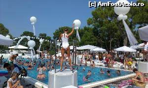 [P23] Pool Party » foto by oana_ioan
 - 
<span class="allrVoted glyphicon glyphicon-heart hidden" id="av522233"></span>
<a class="m-l-10 hidden" id="sv522233" onclick="voting_Foto_DelVot(,522233,58)" role="button">șterge vot <span class="glyphicon glyphicon-remove"></span></a>
<a id="v9522233" class=" c-red"  onclick="voting_Foto_SetVot(522233)" role="button"><span class="glyphicon glyphicon-heart-empty"></span> <b>LIKE</b> = Votează poza</a> <img class="hidden"  id="f522233W9" src="/imagini/loader.gif" border="0" /><span class="AjErrMes hidden" id="e522233ErM"></span>