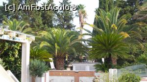 [P11] vegetatia terasata de langa piscina » foto by silvia tudoran
 - 
<span class="allrVoted glyphicon glyphicon-heart hidden" id="av918935"></span>
<a class="m-l-10 hidden" id="sv918935" onclick="voting_Foto_DelVot(,918935,581)" role="button">șterge vot <span class="glyphicon glyphicon-remove"></span></a>
<a id="v9918935" class=" c-red"  onclick="voting_Foto_SetVot(918935)" role="button"><span class="glyphicon glyphicon-heart-empty"></span> <b>LIKE</b> = Votează poza</a> <img class="hidden"  id="f918935W9" src="/imagini/loader.gif" border="0" /><span class="AjErrMes hidden" id="e918935ErM"></span>
