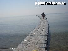 [P13] Podul de plastic pentru turistii ce prefera spaorturile pe apa ,
noi am privit pestii imensi de pe el » foto by ionescunic
 - 
<span class="allrVoted glyphicon glyphicon-heart hidden" id="av100201"></span>
<a class="m-l-10 hidden" id="sv100201" onclick="voting_Foto_DelVot(,100201,583)" role="button">șterge vot <span class="glyphicon glyphicon-remove"></span></a>
<a id="v9100201" class=" c-red"  onclick="voting_Foto_SetVot(100201)" role="button"><span class="glyphicon glyphicon-heart-empty"></span> <b>LIKE</b> = Votează poza</a> <img class="hidden"  id="f100201W9" src="/imagini/loader.gif" border="0" /><span class="AjErrMes hidden" id="e100201ErM"></span>