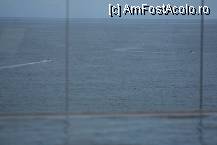 [P03] Putin din piscina si restul e marea » foto by MARCELCLUJ*
 - 
<span class="allrVoted glyphicon glyphicon-heart hidden" id="av240644"></span>
<a class="m-l-10 hidden" id="sv240644" onclick="voting_Foto_DelVot(,240644,593)" role="button">șterge vot <span class="glyphicon glyphicon-remove"></span></a>
<a id="v9240644" class=" c-red"  onclick="voting_Foto_SetVot(240644)" role="button"><span class="glyphicon glyphicon-heart-empty"></span> <b>LIKE</b> = Votează poza</a> <img class="hidden"  id="f240644W9" src="/imagini/loader.gif" border="0" /><span class="AjErrMes hidden" id="e240644ErM"></span>
