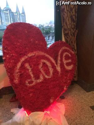 [P03]  -- <small>// FĂRĂ DESCRIERE</small> » foto by Cappuccinoo*
 - 
<span class="allrVoted glyphicon glyphicon-heart hidden" id="av529912"></span>
<a class="m-l-10 hidden" id="sv529912" onclick="voting_Foto_DelVot(,529912,6)" role="button">șterge vot <span class="glyphicon glyphicon-remove"></span></a>
<a id="v9529912" class=" c-red"  onclick="voting_Foto_SetVot(529912)" role="button"><span class="glyphicon glyphicon-heart-empty"></span> <b>LIKE</b> = Votează poza</a> <img class="hidden"  id="f529912W9" src="/imagini/loader.gif" border="0" /><span class="AjErrMes hidden" id="e529912ErM"></span>