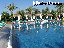 [P08] alta piscina » foto by sibicrengut
 - 
<span class="allrVoted glyphicon glyphicon-heart hidden" id="av55263"></span>
<a class="m-l-10 hidden" id="sv55263" onclick="voting_Foto_DelVot(,55263,6)" role="button">șterge vot <span class="glyphicon glyphicon-remove"></span></a>
<a id="v955263" class=" c-red"  onclick="voting_Foto_SetVot(55263)" role="button"><span class="glyphicon glyphicon-heart-empty"></span> <b>LIKE</b> = Votează poza</a> <img class="hidden"  id="f55263W9" src="/imagini/loader.gif" border="0" /><span class="AjErrMes hidden" id="e55263ErM"></span>