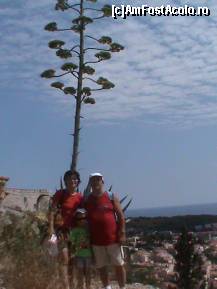 [P09] Sub meterezele fortaretei Spanjiola, Hvar » foto by valsm
 - 
<span class="allrVoted glyphicon glyphicon-heart hidden" id="av344454"></span>
<a class="m-l-10 hidden" id="sv344454" onclick="voting_Foto_DelVot(,344454,619)" role="button">șterge vot <span class="glyphicon glyphicon-remove"></span></a>
<a id="v9344454" class=" c-red"  onclick="voting_Foto_SetVot(344454)" role="button"><span class="glyphicon glyphicon-heart-empty"></span> <b>LIKE</b> = Votează poza</a> <img class="hidden"  id="f344454W9" src="/imagini/loader.gif" border="0" /><span class="AjErrMes hidden" id="e344454ErM"></span>