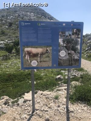 [P23] Panouri informative<p> Eu n-am întânit animale, dar tare mi-ar fi plăcut » foto by krisstinna
 - 
<span class="allrVoted glyphicon glyphicon-heart hidden" id="av993946"></span>
<a class="m-l-10 hidden" id="sv993946" onclick="voting_Foto_DelVot(,993946,619)" role="button">șterge vot <span class="glyphicon glyphicon-remove"></span></a>
<a id="v9993946" class=" c-red"  onclick="voting_Foto_SetVot(993946)" role="button"><span class="glyphicon glyphicon-heart-empty"></span> <b>LIKE</b> = Votează poza</a> <img class="hidden"  id="f993946W9" src="/imagini/loader.gif" border="0" /><span class="AjErrMes hidden" id="e993946ErM"></span>