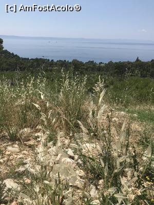 [P53] Vepric, Makarska<p> Prin parcarea de vis-a-vis » foto by krisstinna
 - 
<span class="allrVoted glyphicon glyphicon-heart hidden" id="av996159"></span>
<a class="m-l-10 hidden" id="sv996159" onclick="voting_Foto_DelVot(,996159,619)" role="button">șterge vot <span class="glyphicon glyphicon-remove"></span></a>
<a id="v9996159" class=" c-red"  onclick="voting_Foto_SetVot(996159)" role="button"><span class="glyphicon glyphicon-heart-empty"></span> <b>LIKE</b> = Votează poza</a> <img class="hidden"  id="f996159W9" src="/imagini/loader.gif" border="0" /><span class="AjErrMes hidden" id="e996159ErM"></span>