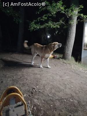 [P17] Agent paza parcare în Nisipuri :) » foto by dan popa
 - 
<span class="allrVoted glyphicon glyphicon-heart hidden" id="av1185833"></span>
<a class="m-l-10 hidden" id="sv1185833" onclick="voting_Foto_DelVot(,1185833,621)" role="button">șterge vot <span class="glyphicon glyphicon-remove"></span></a>
<a id="v91185833" class=" c-red"  onclick="voting_Foto_SetVot(1185833)" role="button"><span class="glyphicon glyphicon-heart-empty"></span> <b>LIKE</b> = Votează poza</a> <img class="hidden"  id="f1185833W9" src="/imagini/loader.gif" border="0" /><span class="AjErrMes hidden" id="e1185833ErM"></span>