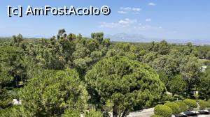 [P02]  -- <small>// FĂRĂ DESCRIERE</small> » foto by Lumea mea
 - 
<span class="allrVoted glyphicon glyphicon-heart hidden" id="av1242578"></span>
<a class="m-l-10 hidden" id="sv1242578" onclick="voting_Foto_DelVot(,1242578,622)" role="button">șterge vot <span class="glyphicon glyphicon-remove"></span></a>
<a id="v91242578" class=" c-red"  onclick="voting_Foto_SetVot(1242578)" role="button"><span class="glyphicon glyphicon-heart-empty"></span> <b>LIKE</b> = Votează poza</a> <img class="hidden"  id="f1242578W9" src="/imagini/loader.gif" border="0" /><span class="AjErrMes hidden" id="e1242578ErM"></span>