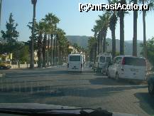 [P17] spre casa pe Bulevardul Palmierilor » foto by valdo
 - 
<span class="allrVoted glyphicon glyphicon-heart hidden" id="av32556"></span>
<a class="m-l-10 hidden" id="sv32556" onclick="voting_Foto_DelVot(,32556,626)" role="button">șterge vot <span class="glyphicon glyphicon-remove"></span></a>
<a id="v932556" class=" c-red"  onclick="voting_Foto_SetVot(32556)" role="button"><span class="glyphicon glyphicon-heart-empty"></span> <b>LIKE</b> = Votează poza</a> <img class="hidden"  id="f32556W9" src="/imagini/loader.gif" border="0" /><span class="AjErrMes hidden" id="e32556ErM"></span>