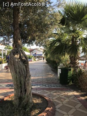 [P07] Faleza care despărțea hotelul de plajă » foto by krisstinna
 - 
<span class="allrVoted glyphicon glyphicon-heart hidden" id="av1121523"></span>
<a class="m-l-10 hidden" id="sv1121523" onclick="voting_Foto_DelVot(,1121523,626)" role="button">șterge vot <span class="glyphicon glyphicon-remove"></span></a>
<a id="v91121523" class=" c-red"  onclick="voting_Foto_SetVot(1121523)" role="button"><span class="glyphicon glyphicon-heart-empty"></span> <b>LIKE</b> = Votează poza</a> <img class="hidden"  id="f1121523W9" src="/imagini/loader.gif" border="0" /><span class="AjErrMes hidden" id="e1121523ErM"></span>