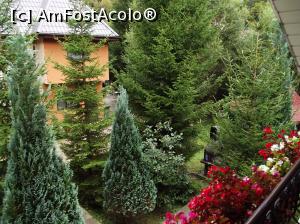 [P08] Vedere din balconul camerei spre curte si vila Lorena. Cine poate rezista in fata acestei imagini? :) » foto by ascent
 - 
<span class="allrVoted glyphicon glyphicon-heart hidden" id="av1193287"></span>
<a class="m-l-10 hidden" id="sv1193287" onclick="voting_Foto_DelVot(,1193287,628)" role="button">șterge vot <span class="glyphicon glyphicon-remove"></span></a>
<a id="v91193287" class=" c-red"  onclick="voting_Foto_SetVot(1193287)" role="button"><span class="glyphicon glyphicon-heart-empty"></span> <b>LIKE</b> = Votează poza</a> <img class="hidden"  id="f1193287W9" src="/imagini/loader.gif" border="0" /><span class="AjErrMes hidden" id="e1193287ErM"></span>
