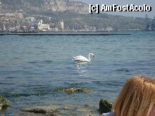 [P12] balcik » foto by lauraflorina29
 - 
<span class="allrVoted glyphicon glyphicon-heart hidden" id="av7705"></span>
<a class="m-l-10 hidden" id="sv7705" onclick="voting_Foto_DelVot(,7705,630)" role="button">șterge vot <span class="glyphicon glyphicon-remove"></span></a>
<a id="v97705" class=" c-red"  onclick="voting_Foto_SetVot(7705)" role="button"><span class="glyphicon glyphicon-heart-empty"></span> <b>LIKE</b> = Votează poza</a> <img class="hidden"  id="f7705W9" src="/imagini/loader.gif" border="0" /><span class="AjErrMes hidden" id="e7705ErM"></span>