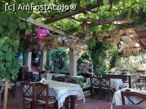 [P13] harbour house taverna - spre insula cameo - pe plaja - un loc ff frumos cu mancare ff buna! si sezlonguri free toata ziua, daca mancati sau beti ceva la ei - oameni buni, amabili » foto by adrianaaa
 - 
<span class="allrVoted glyphicon glyphicon-heart hidden" id="av866467"></span>
<a class="m-l-10 hidden" id="sv866467" onclick="voting_Foto_DelVot(,866467,635)" role="button">șterge vot <span class="glyphicon glyphicon-remove"></span></a>
<a id="v9866467" class=" c-red"  onclick="voting_Foto_SetVot(866467)" role="button"><span class="glyphicon glyphicon-heart-empty"></span> <b>LIKE</b> = Votează poza</a> <img class="hidden"  id="f866467W9" src="/imagini/loader.gif" border="0" /><span class="AjErrMes hidden" id="e866467ErM"></span>