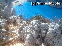 [P05] Intr-adevar Navagio e mai frumos de sus » foto by mamaruta
 - 
<span class="allrVoted glyphicon glyphicon-heart hidden" id="av4425"></span>
<a class="m-l-10 hidden" id="sv4425" onclick="voting_Foto_DelVot(,4425,640)" role="button">șterge vot <span class="glyphicon glyphicon-remove"></span></a>
<a id="v94425" class=" c-red"  onclick="voting_Foto_SetVot(4425)" role="button"><span class="glyphicon glyphicon-heart-empty"></span> <b>LIKE</b> = Votează poza</a> <img class="hidden"  id="f4425W9" src="/imagini/loader.gif" border="0" /><span class="AjErrMes hidden" id="e4425ErM"></span>