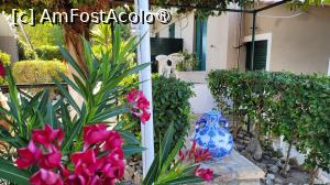 [P23] Merlis Studios, Kalamaki - Zakynthos » foto by vlado2
 - 
<span class="allrVoted glyphicon glyphicon-heart hidden" id="av1520046"></span>
<a class="m-l-10 hidden" id="sv1520046" onclick="voting_Foto_DelVot(,1520046,640)" role="button">șterge vot <span class="glyphicon glyphicon-remove"></span></a>
<a id="v91520046" class=" c-red"  onclick="voting_Foto_SetVot(1520046)" role="button"><span class="glyphicon glyphicon-heart-empty"></span> <b>LIKE</b> = Votează poza</a> <img class="hidden"  id="f1520046W9" src="/imagini/loader.gif" border="0" /><span class="AjErrMes hidden" id="e1520046ErM"></span>