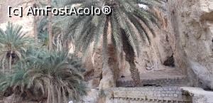 [P11] Cu jeepul prin Sahara – oaza de munte Chebika » foto by nicole33
 - 
<span class="allrVoted glyphicon glyphicon-heart hidden" id="av1165831"></span>
<a class="m-l-10 hidden" id="sv1165831" onclick="voting_Foto_DelVot(,1165831,658)" role="button">șterge vot <span class="glyphicon glyphicon-remove"></span></a>
<a id="v91165831" class=" c-red"  onclick="voting_Foto_SetVot(1165831)" role="button"><span class="glyphicon glyphicon-heart-empty"></span> <b>LIKE</b> = Votează poza</a> <img class="hidden"  id="f1165831W9" src="/imagini/loader.gif" border="0" /><span class="AjErrMes hidden" id="e1165831ErM"></span>