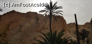 [P15] Cu jeepul prin Sahara – oaza de munte Chebika » foto by nicole33
 - 
<span class="allrVoted glyphicon glyphicon-heart hidden" id="av1165835"></span>
<a class="m-l-10 hidden" id="sv1165835" onclick="voting_Foto_DelVot(,1165835,658)" role="button">șterge vot <span class="glyphicon glyphicon-remove"></span></a>
<a id="v91165835" class=" c-red"  onclick="voting_Foto_SetVot(1165835)" role="button"><span class="glyphicon glyphicon-heart-empty"></span> <b>LIKE</b> = Votează poza</a> <img class="hidden"  id="f1165835W9" src="/imagini/loader.gif" border="0" /><span class="AjErrMes hidden" id="e1165835ErM"></span>