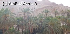 [P02] Cu jeepul prin Sahara – oaza de munte Chebika » foto by nicole33
 - 
<span class="allrVoted glyphicon glyphicon-heart hidden" id="av1165822"></span>
<a class="m-l-10 hidden" id="sv1165822" onclick="voting_Foto_DelVot(,1165822,658)" role="button">șterge vot <span class="glyphicon glyphicon-remove"></span></a>
<a id="v91165822" class=" c-red"  onclick="voting_Foto_SetVot(1165822)" role="button"><span class="glyphicon glyphicon-heart-empty"></span> <b>LIKE</b> = Votează poza</a> <img class="hidden"  id="f1165822W9" src="/imagini/loader.gif" border="0" /><span class="AjErrMes hidden" id="e1165822ErM"></span>