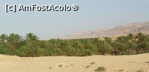 [P24] Cu jeepul prin Sahara – prin Munții Atlas » foto by nicole33
 - 
<span class="allrVoted glyphicon glyphicon-heart hidden" id="av1165844"></span>
<a class="m-l-10 hidden" id="sv1165844" onclick="voting_Foto_DelVot(,1165844,658)" role="button">șterge vot <span class="glyphicon glyphicon-remove"></span></a>
<a id="v91165844" class=" c-red"  onclick="voting_Foto_SetVot(1165844)" role="button"><span class="glyphicon glyphicon-heart-empty"></span> <b>LIKE</b> = Votează poza</a> <img class="hidden"  id="f1165844W9" src="/imagini/loader.gif" border="0" /><span class="AjErrMes hidden" id="e1165844ErM"></span>