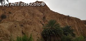 [P45] Cu jeepul prin Sahara – oaza de munte Chebika » foto by nicole33
 - 
<span class="allrVoted glyphicon glyphicon-heart hidden" id="av1165865"></span>
<a class="m-l-10 hidden" id="sv1165865" onclick="voting_Foto_DelVot(,1165865,658)" role="button">șterge vot <span class="glyphicon glyphicon-remove"></span></a>
<a id="v91165865" class=" c-red"  onclick="voting_Foto_SetVot(1165865)" role="button"><span class="glyphicon glyphicon-heart-empty"></span> <b>LIKE</b> = Votează poza</a> <img class="hidden"  id="f1165865W9" src="/imagini/loader.gif" border="0" /><span class="AjErrMes hidden" id="e1165865ErM"></span>