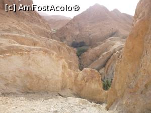 [P49] Cu jeepul prin Sahara – oaza de munte Chebika » foto by nicole33
 - 
<span class="allrVoted glyphicon glyphicon-heart hidden" id="av1165869"></span>
<a class="m-l-10 hidden" id="sv1165869" onclick="voting_Foto_DelVot(,1165869,658)" role="button">șterge vot <span class="glyphicon glyphicon-remove"></span></a>
<a id="v91165869" class=" c-red"  onclick="voting_Foto_SetVot(1165869)" role="button"><span class="glyphicon glyphicon-heart-empty"></span> <b>LIKE</b> = Votează poza</a> <img class="hidden"  id="f1165869W9" src="/imagini/loader.gif" border="0" /><span class="AjErrMes hidden" id="e1165869ErM"></span>