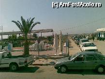 [P07] Sub acoperis,'celebra' balena tunisiana din Mahres » foto by Kyandra
 - 
<span class="allrVoted glyphicon glyphicon-heart hidden" id="av53243"></span>
<a class="m-l-10 hidden" id="sv53243" onclick="voting_Foto_DelVot(,53243,658)" role="button">șterge vot <span class="glyphicon glyphicon-remove"></span></a>
<a id="v953243" class=" c-red"  onclick="voting_Foto_SetVot(53243)" role="button"><span class="glyphicon glyphicon-heart-empty"></span> <b>LIKE</b> = Votează poza</a> <img class="hidden"  id="f53243W9" src="/imagini/loader.gif" border="0" /><span class="AjErrMes hidden" id="e53243ErM"></span>