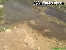 [P09] Broscuta in rauletul din Sahara » foto by Diaura*
 - 
<span class="allrVoted glyphicon glyphicon-heart hidden" id="av31915"></span>
<a class="m-l-10 hidden" id="sv31915" onclick="voting_Foto_DelVot(,31915,658)" role="button">șterge vot <span class="glyphicon glyphicon-remove"></span></a>
<a id="v931915" class=" c-red"  onclick="voting_Foto_SetVot(31915)" role="button"><span class="glyphicon glyphicon-heart-empty"></span> <b>LIKE</b> = Votează poza</a> <img class="hidden"  id="f31915W9" src="/imagini/loader.gif" border="0" /><span class="AjErrMes hidden" id="e31915ErM"></span>